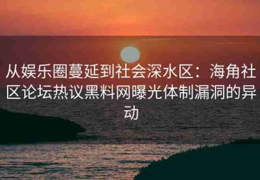 从娱乐圈蔓延到社会深水区：海角社区论坛热议黑料网曝光体制漏洞的异动