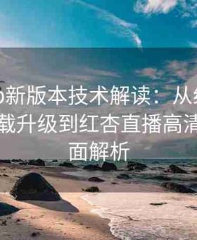 红杏app新版本技术解读：从红杏app官方下载升级到红杏直播高清体验全面解析