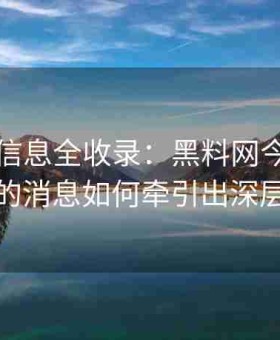 今日新信息全收录：黑料网今日集中发布的消息如何牵引出深层矛盾