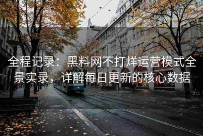 全程记录：黑料网不打烊运营模式全景实录，详解每日更新的核心数据
