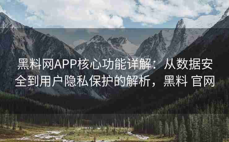 黑料网APP核心功能详解：从数据安全到用户隐私保护的解析，黑料 官网