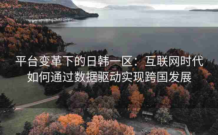 平台变革下的日韩一区：互联网时代如何通过数据驱动实现跨国发展
