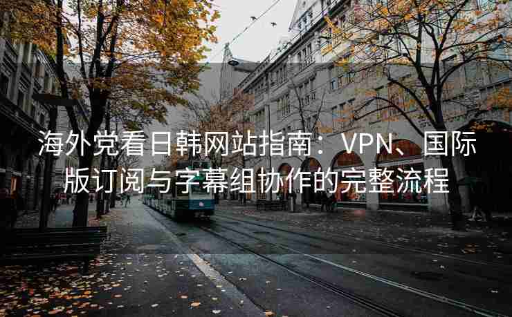 海外党看日韩网站指南：VPN、国际版订阅与字幕组协作的完整流程