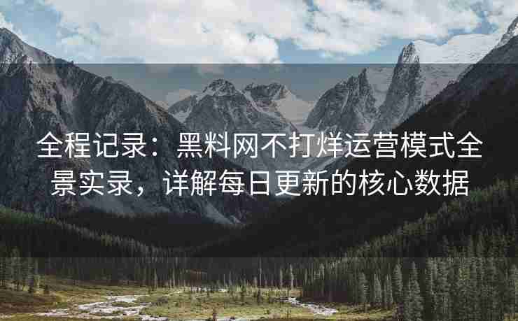 全程记录：黑料网不打烊运营模式全景实录，详解每日更新的核心数据