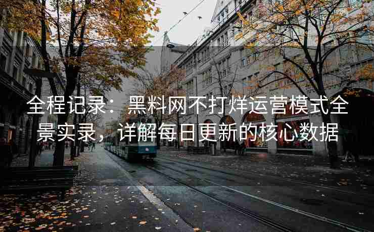 全程记录：黑料网不打烊运营模式全景实录，详解每日更新的核心数据